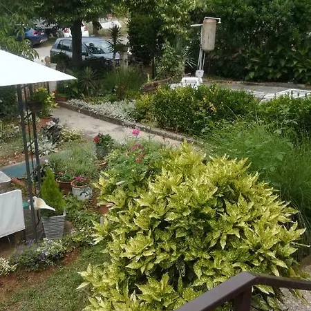 Apartmens Diklo Adriano * Zadar