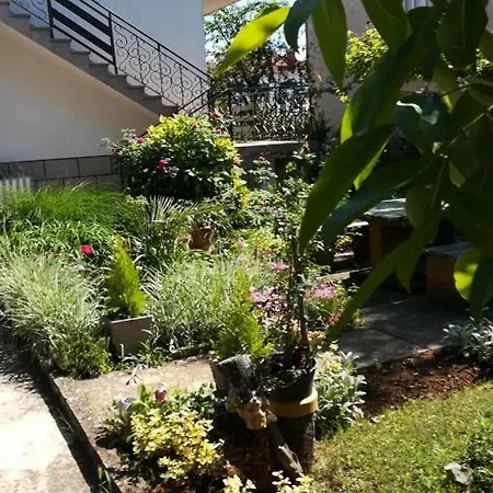 Apartment Apartmens Diklo Adriano Zadar
